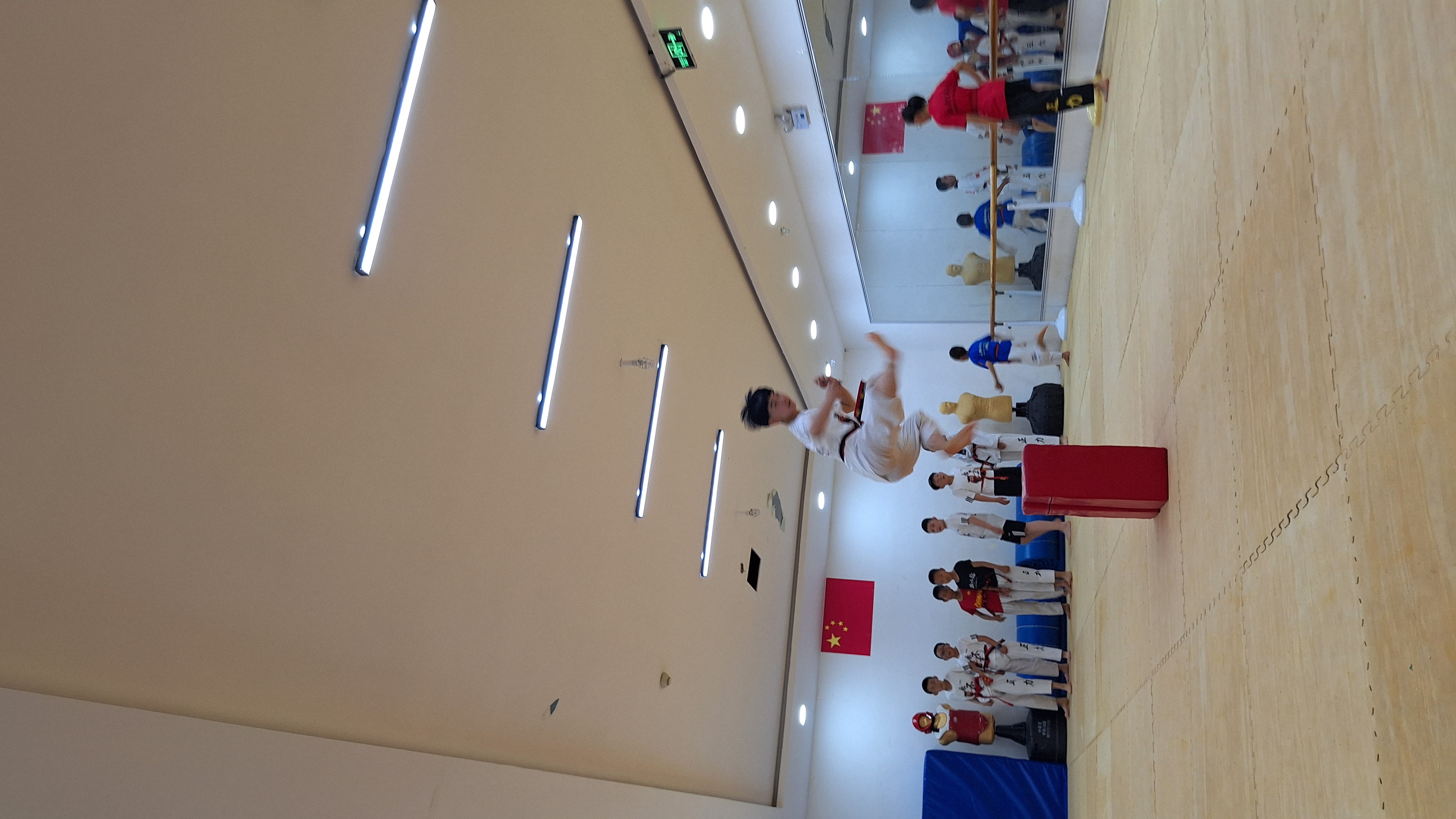 QYG-跆拳道锦标赛掀起高潮，洞庭旋风队逆转海滨麒麟队，高压逼抢奏功——节奏掌控在手的简单介绍